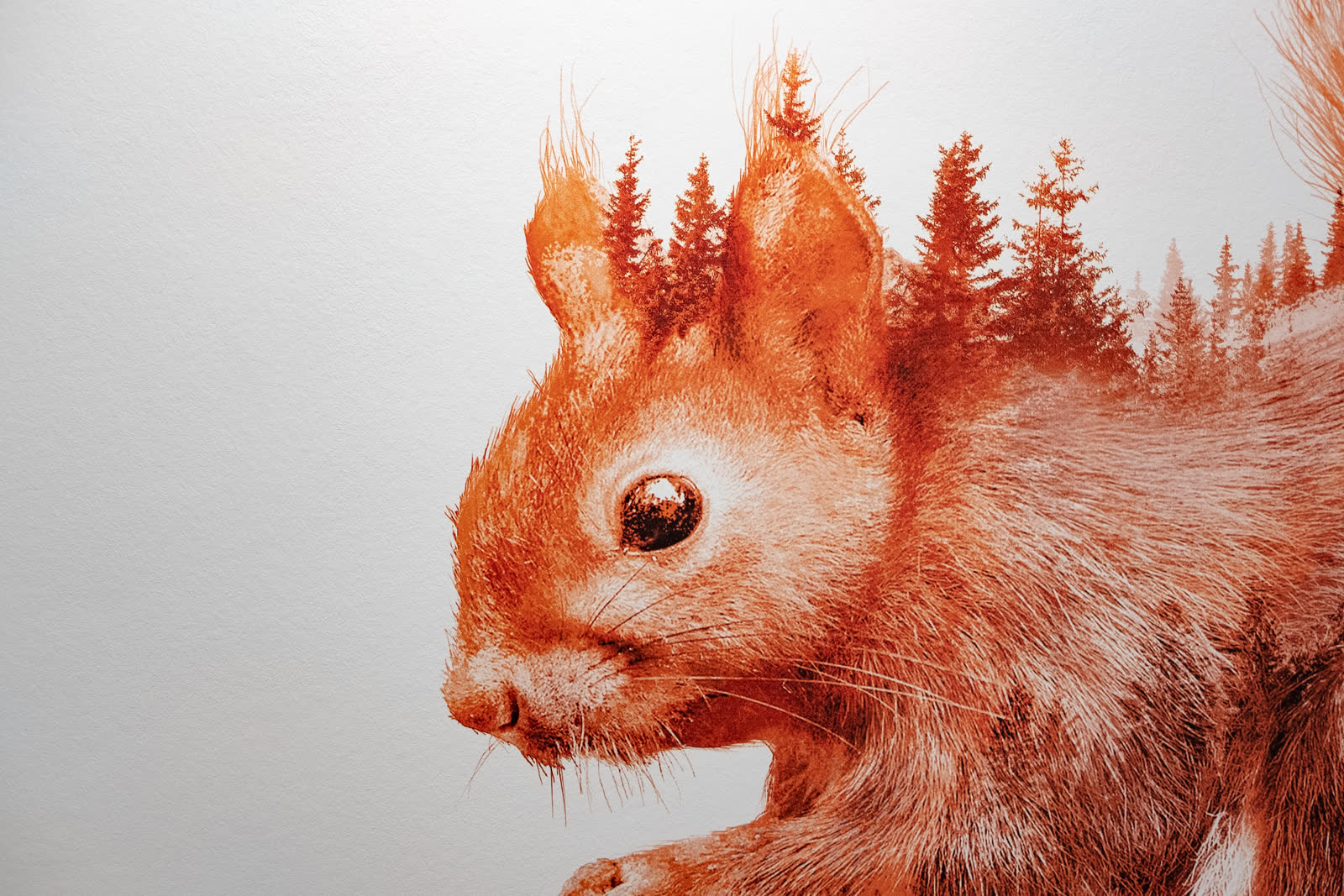 Eichhörnchen-Motiv mit feinen Details, direkt auf eine weisse Wand gedruckt